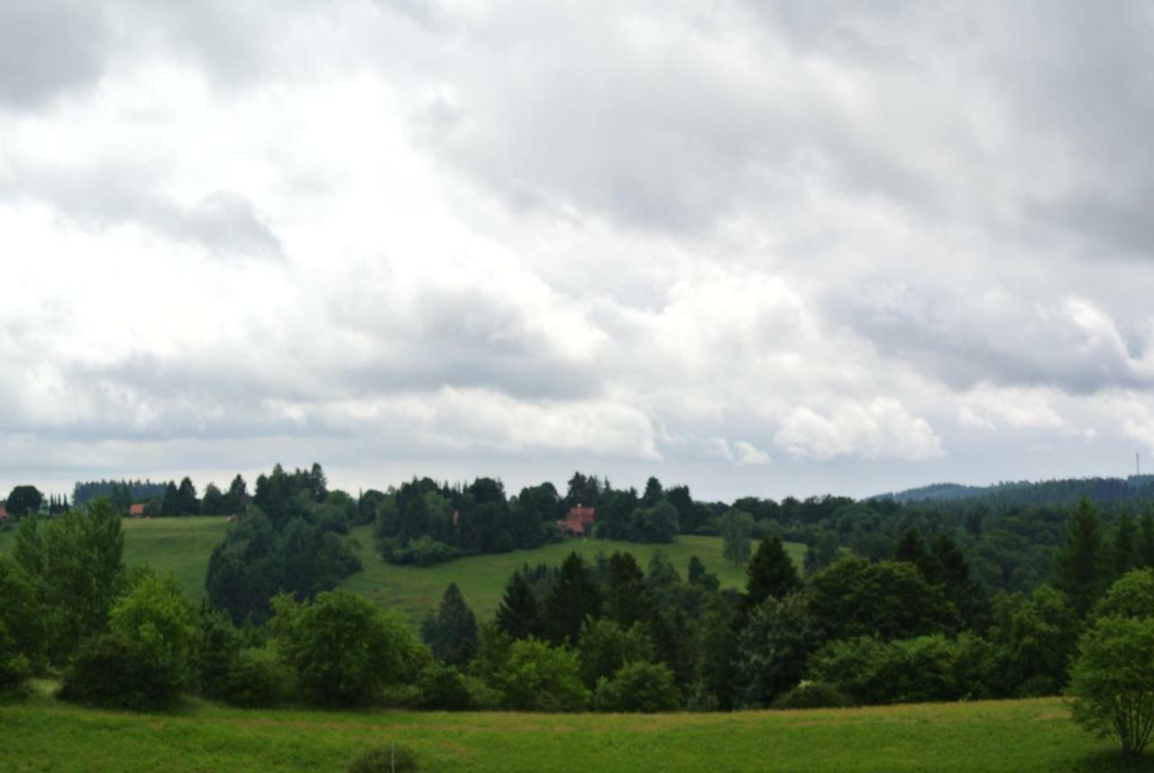 Ferienwohnung Harz-Flair 264 Hohegeiß Εξωτερικό φωτογραφία