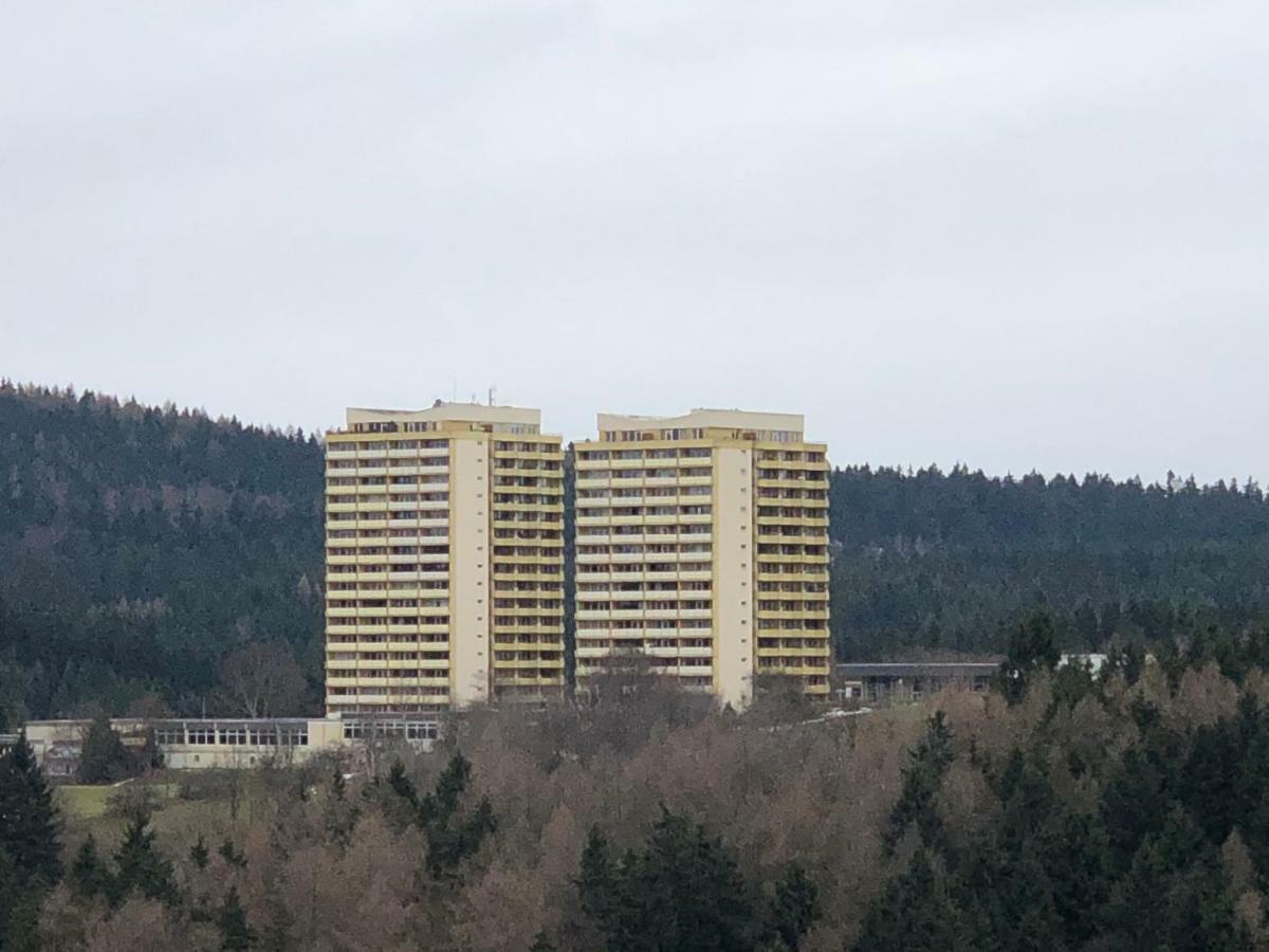 Ferienwohnung Harz-Flair 264 Hohegeiß Εξωτερικό φωτογραφία